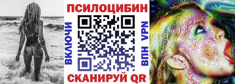 закладка  Белоярский  Псилоцибиновые грибы Cubensis 